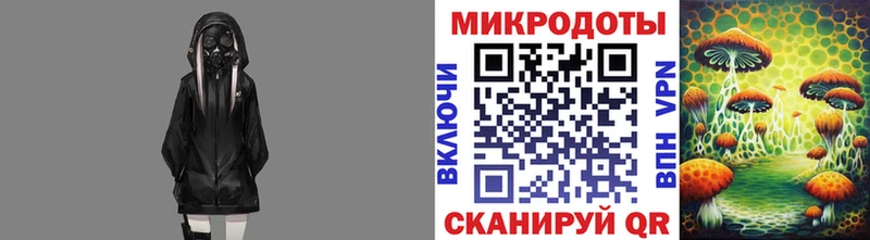 наркотики  Светлогорск  площадка клад  Галлюциногенные грибы MAGIC MUSHROOMS 